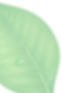 شکل