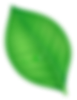 شکل