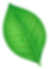 شکل